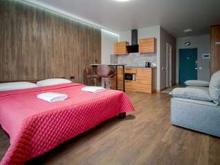 Апартаменты Solo Apartment Kamenskaya Киев Лофт-2