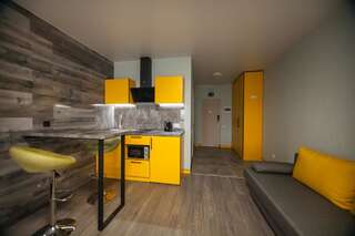Апартаменты Solo Apartment Kamenskaya Киев Апартаменты-студио-3